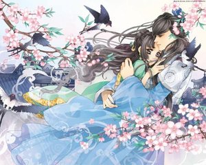 全体面光一件不剩